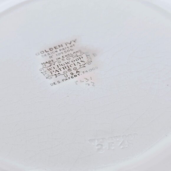 2 Wedgwood Golden Ivy Dinner Plates 10.5" Laurel Rim raised relief England - Picture 8 of 14